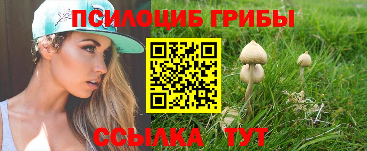 Ялуторовск  Галлюциногенные грибы Psilocybine cubensis  Вход с VPN 