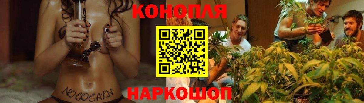 МАРИХУАНА сатива  Конопля план  Канабис план  Ялуторовск  Вход с VPN 